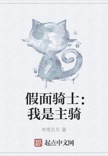 假面骑士：我是主骑